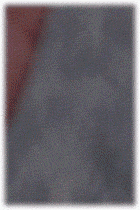 18679%5F20200220155209%2Egif 2130706433_8Jp1TvkK_6eea54e8165a91dd4e719586c719971d1489b895.gif
