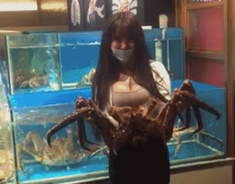 담카 (3).gif 담카 (3).gif