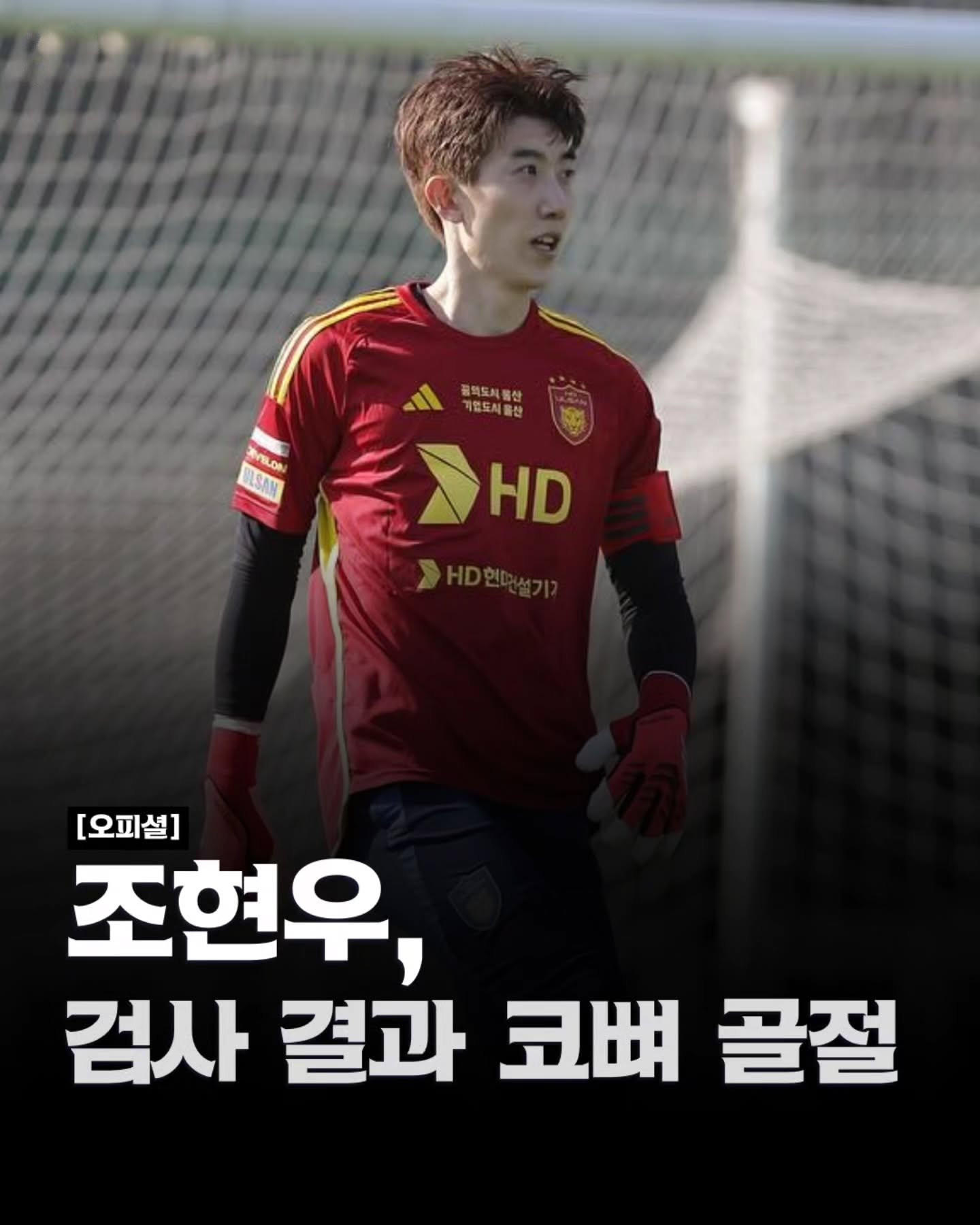 조현우.jpg 조현우.jpg