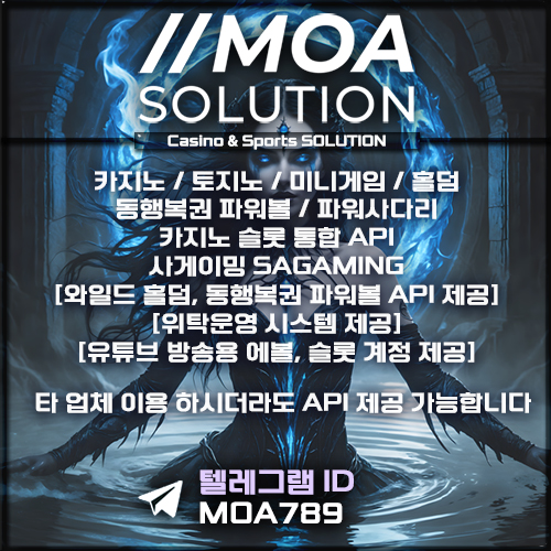 카지노솔루션.jpg