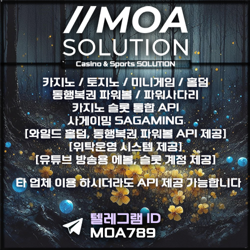 카지노솔루션.jpg