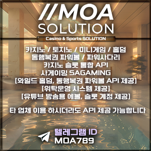 카지노솔루션.jpg