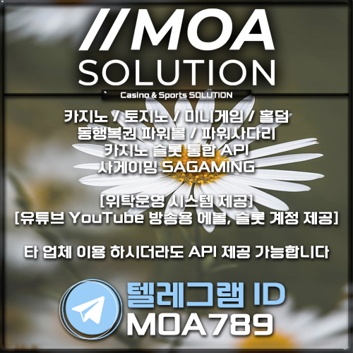 카지노솔루션.jpg 카지노솔루션.jpg