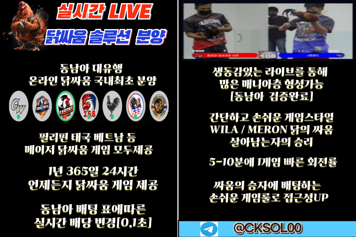 닭싸움 솔루션.png 닭싸움 솔루션.png